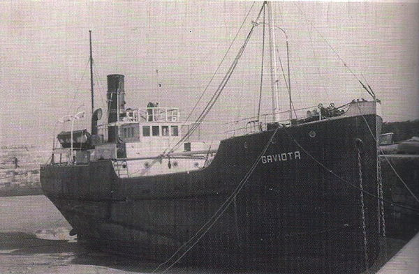 Gaviota - Colección de L. Santa Olaya Gaviota - Colección de L. Santa Olaya